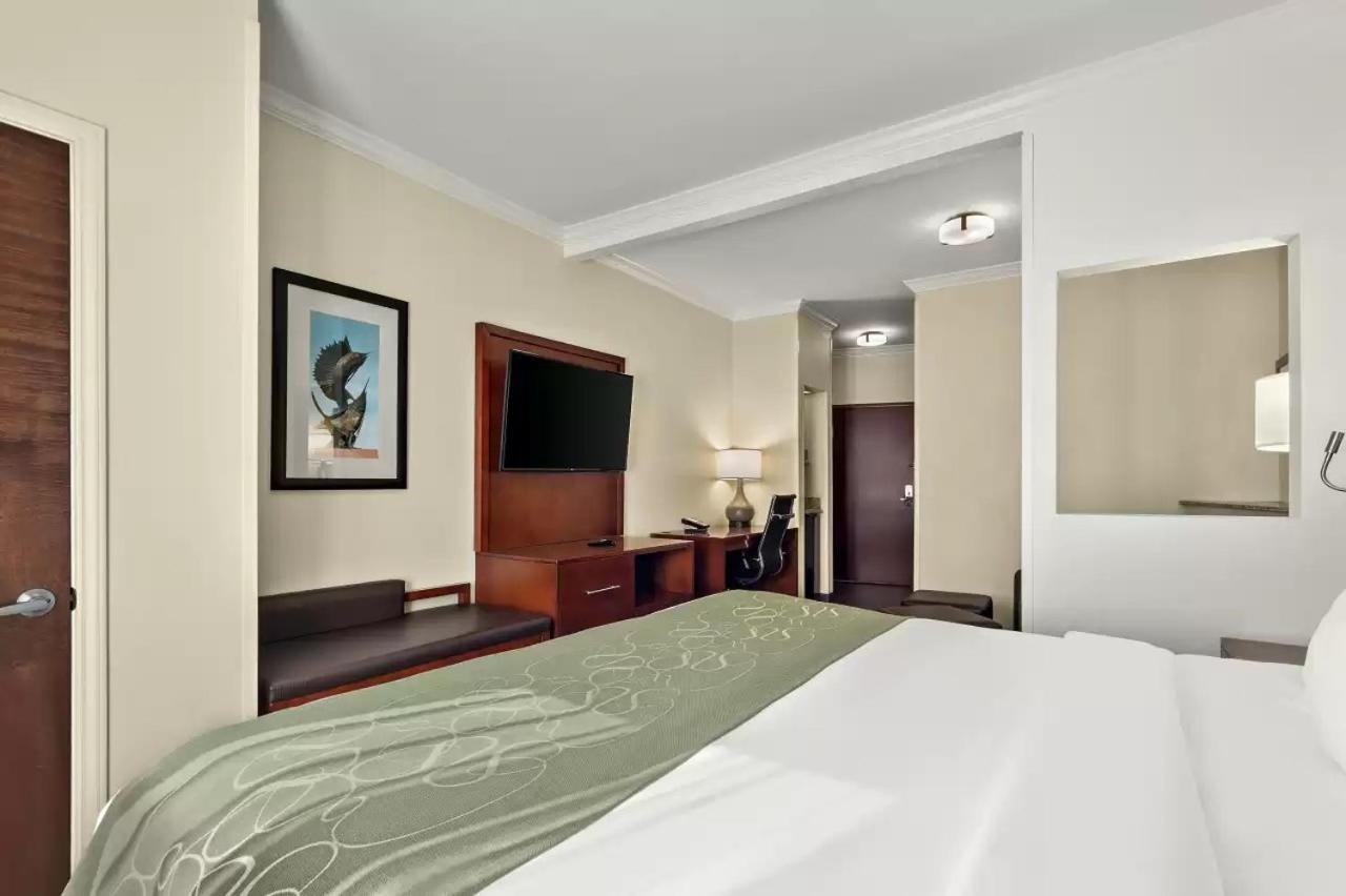 Comfort Suites Central Κόρπους Κρίστι Εξωτερικό φωτογραφία