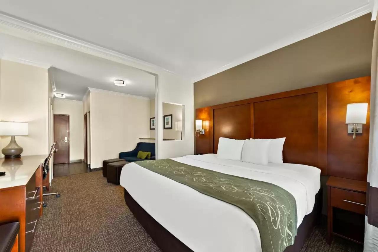 Comfort Suites Central Κόρπους Κρίστι Εξωτερικό φωτογραφία