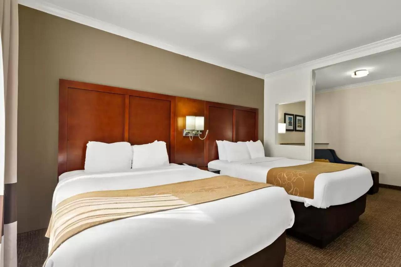 Comfort Suites Central Κόρπους Κρίστι Εξωτερικό φωτογραφία
